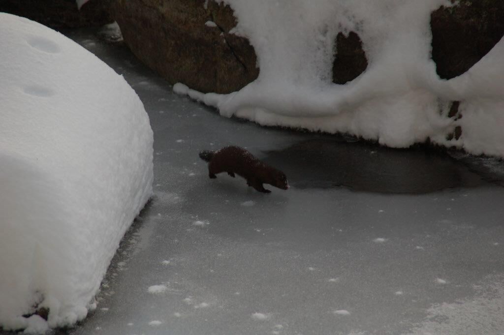 Reader Pics: Jan. 10